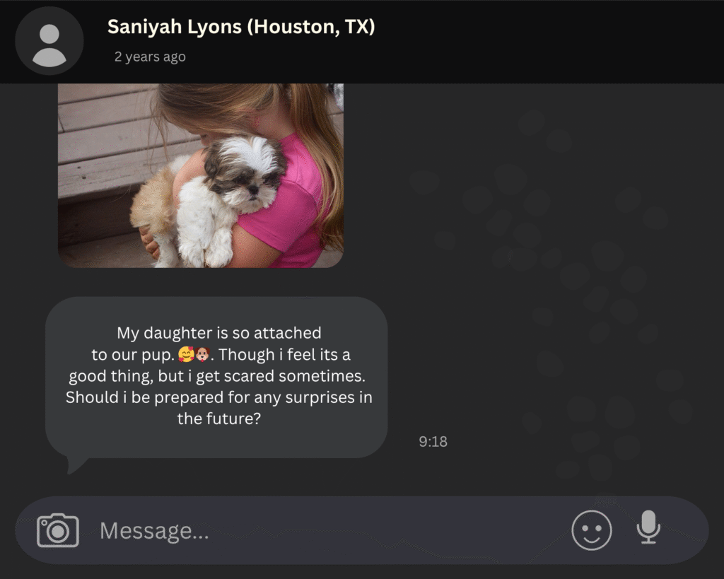 pekingese for sale review