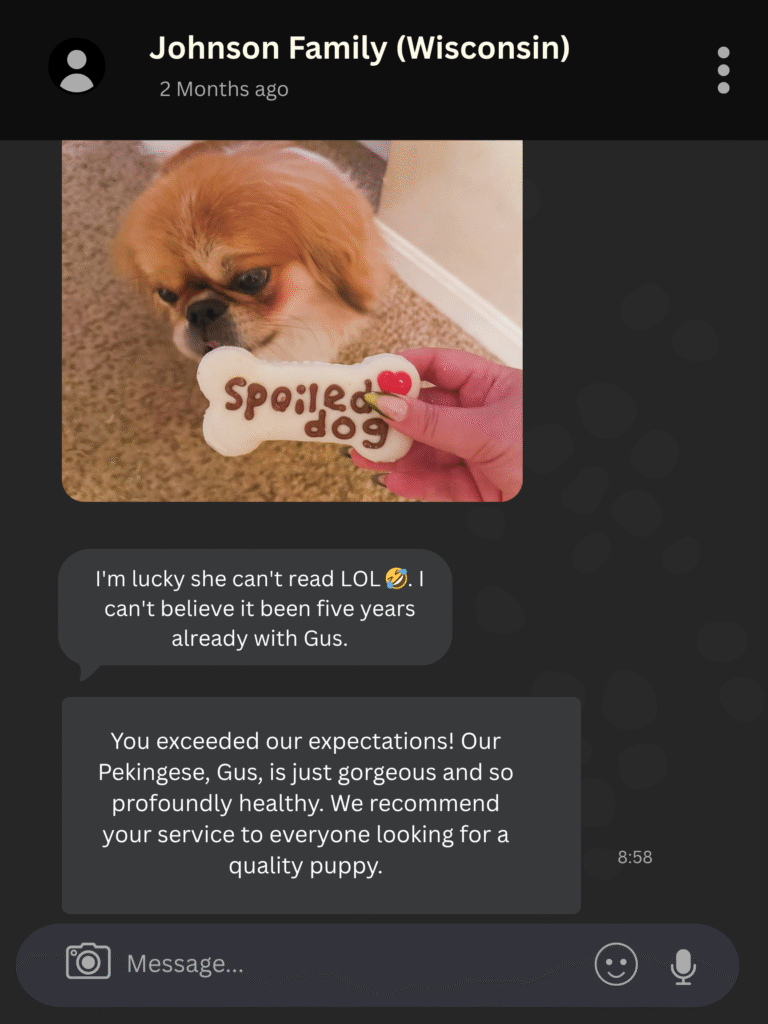 pekingese for sale review