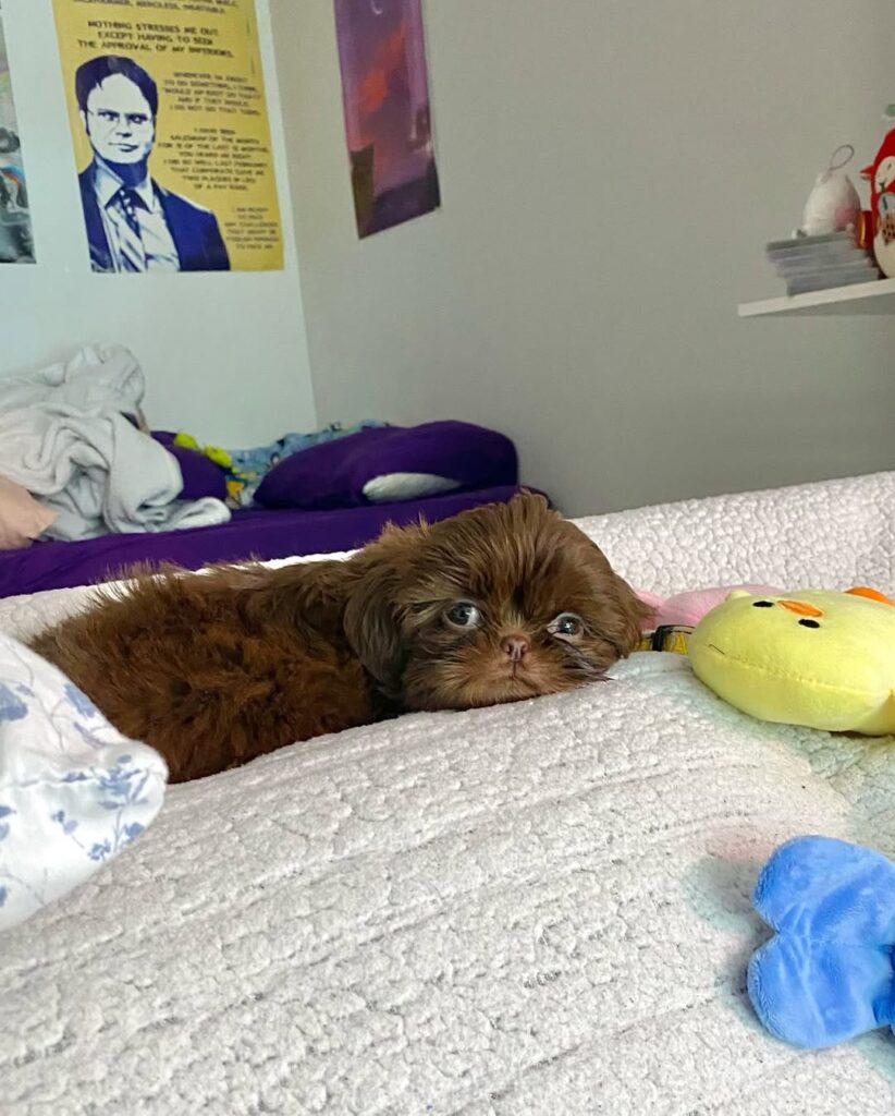 SnapInsta.to_481442716_17852388882401887_1383526462566246696_n