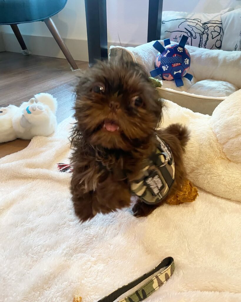 SnapInsta.to_484138249_17855419287401887_2145232407031241639_n